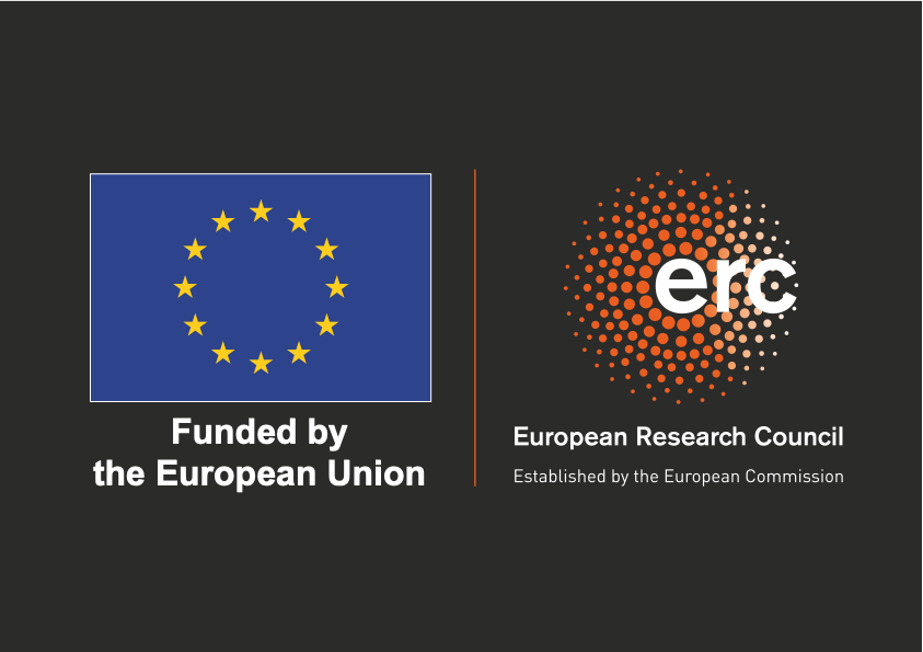 LOGO_ERC-FLAG_FP_NEGATIF